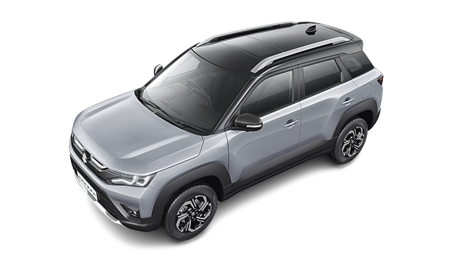 Splendid Silver-Black Roof